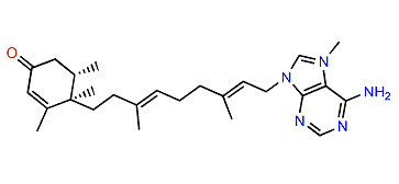 2-oxo-Agelasine F